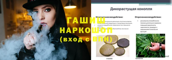 стафф Белокуриха