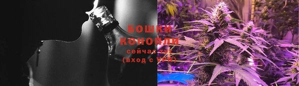 стафф Белокуриха