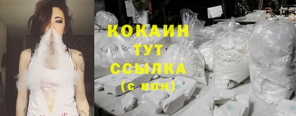 крисы Белоозёрский