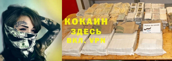 стафф Белокуриха